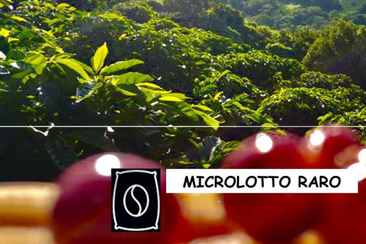 MICROLOTTO RARO DI CAFFÈ. IL SIGNIFICATO | Coffeel