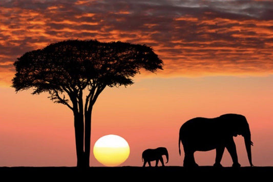 AFRICA - ORIGINI E CARATTERISTICHE DI CAFFÈ ETIOPIA, KENYA E RWANDA | Coffeel
