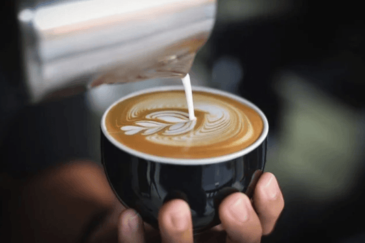 CAPPUCCINO & CO. - Coffeel