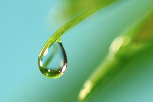 L'ACQUA E' MAGICA RISORSA | Coffeel