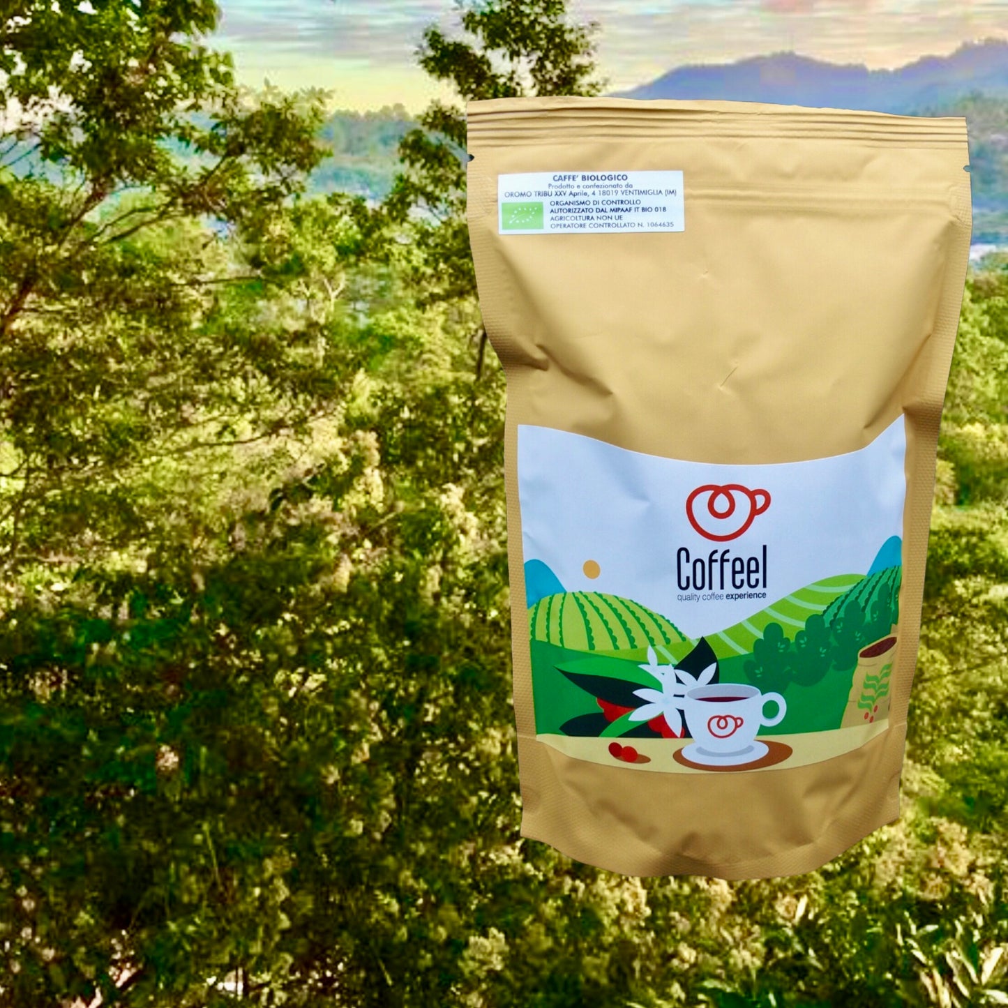 Bio Honduras Ceiba