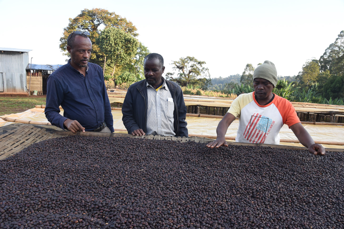 Bio Etiopia Guji Specialty