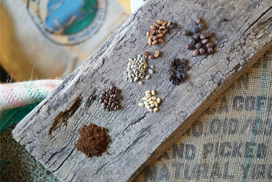 Coffee Experience in laboratorio