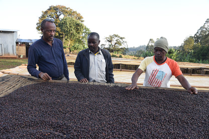 Bio Etiopia Guji Specialty