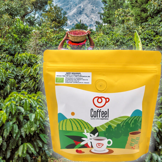 caffè 100% certificato bio guatemala quetzalito - grani 300gr