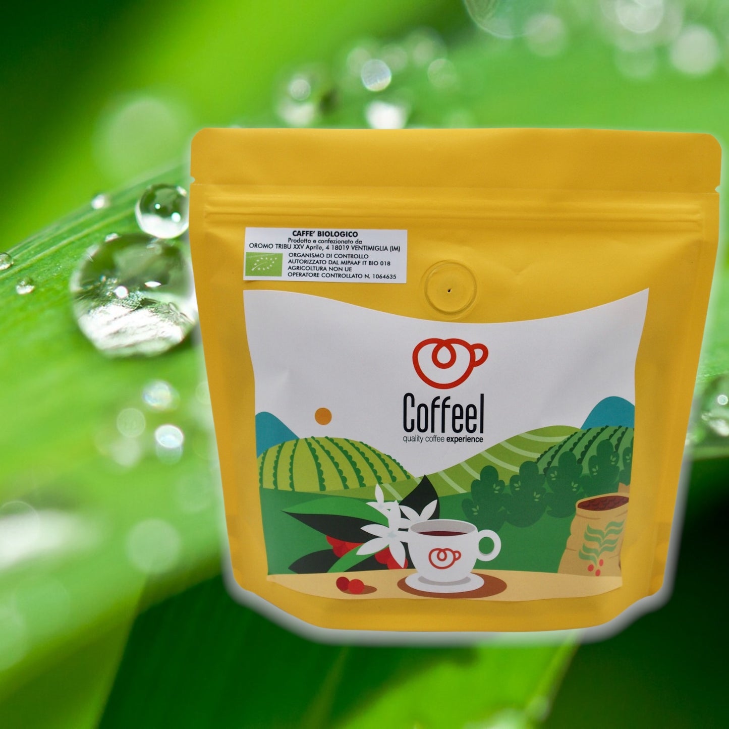 caffè 100% certificato specialty bio blend - brasile guatemala honduras messico - in grani 300gr